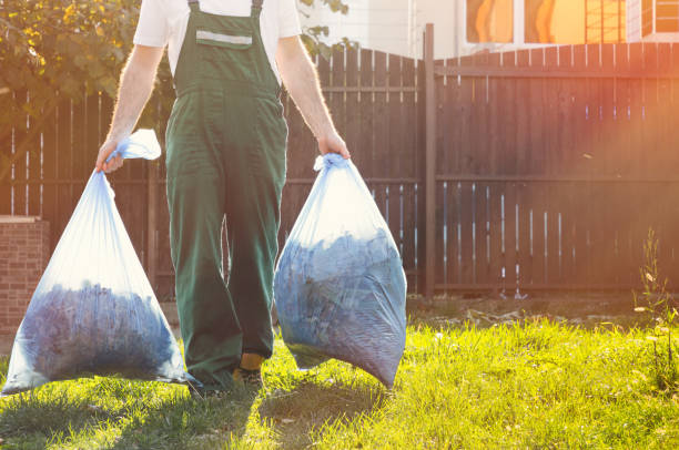 Best Electronics and E-Waste Disposal  in Sardis City, AL